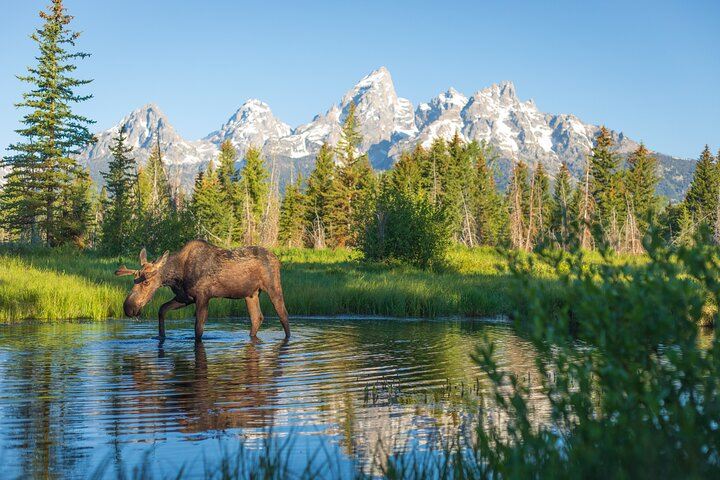 Private 8-Hour Grand Teton Adventure - Photo 1 of 11